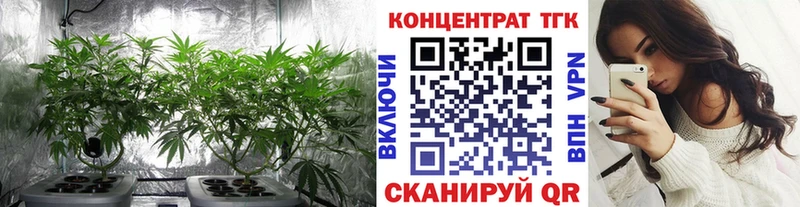 блэк спрут маркетплейс  Елизаветинская  ТГК вейп 