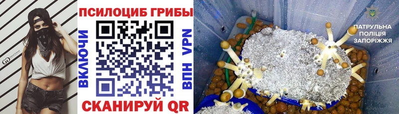 MEGA ССЫЛКА  Елизаветинская  Галлюциногенные грибы мухоморы  что такое наркотик 